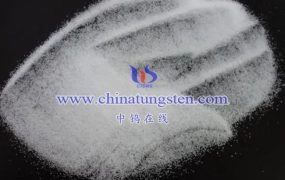 仲钨酸铵海关编码是多少？