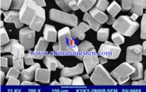 仲钨酸铵的晶体形状