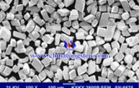 仲钨酸铵SEM照片