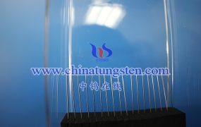 钨钢针可以用于哪些生物医学应用中？