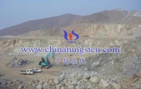 2022年独联体国家钼消费量情况