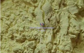 氧化钨还原钨粉的基本原理与过程是怎样的？