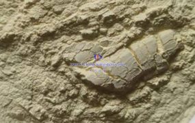 氧化钨是如何按照粒度分类的? 