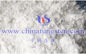 偏钨酸铵的未来发展趋势和预测是怎样的？