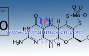钼对人体有什么作用？