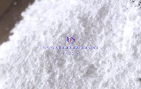 什么是偏钨酸铵电镜照片？