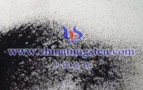 紫色氧化最新研究热点有哪些