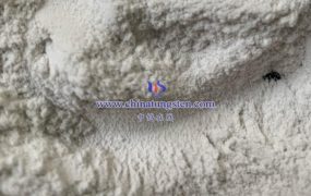 偏钨酸铵水合物的化学式是什么？