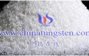 仲钨酸铵在光催化领域的应用潜力如何？