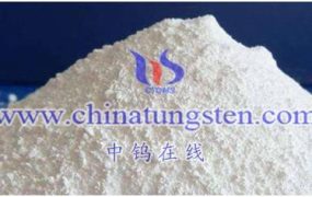 仲钨酸铵在光催化降解领域的应用潜力如何？