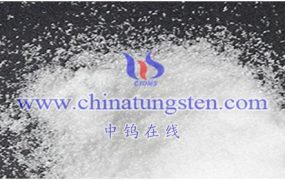 仲钨酸铵市场规模和发展趋势如何？