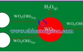 什么是钨粉的长大机理？