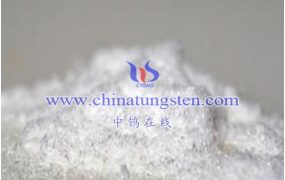 偏钨酸铵全新价格走势如何？