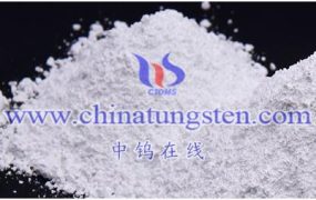 仲钨酸铵最新价格是多少？