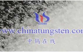 钨今日最新价格是多少