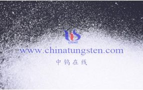 钨今日最新价格是多少？