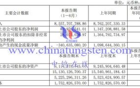 盛和资源2023上半年运营如何？