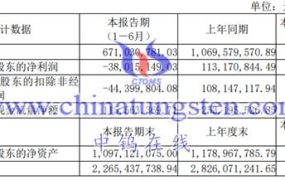 大地熊2023上半年运营如何？