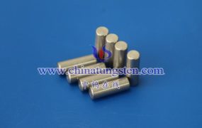 钡钨阴极的表面形态是怎样的？