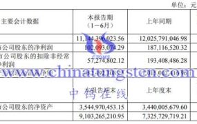 广晟有色2023上半年运营如何？