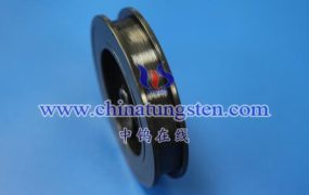 2023年5月中国钼丝出口情况