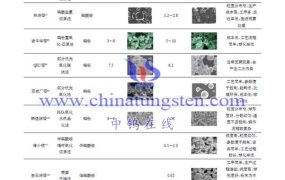 球形钨粉有哪些制备法？