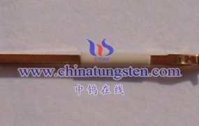 什么是夹片钨探针？