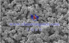 钨粉的团聚有哪些状态？