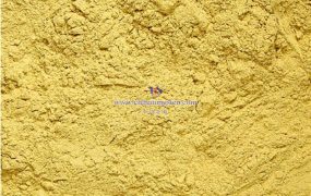 氧化钨在不同温度下的化学性质如何？