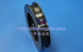 2023年8月中国钼丝进口情况