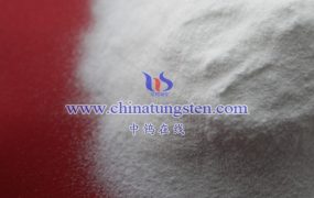 2023年8月中国钼酸铵出口情况