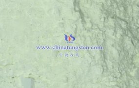 氧化钨纳米新型光电化学生物传感器是什么？