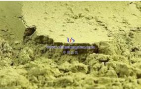 什么是氧化钨的光催化性能？