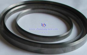 什么是钨钼镍铁合金密封环？