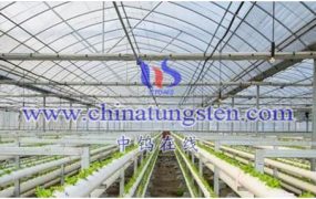 铯钨青铜节能么？