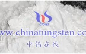 钨酸钡的磁学性质如何？