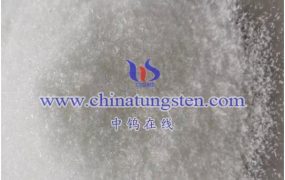 什么是铌钨酸盐？