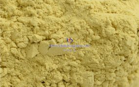 氧化钨的光催化原理是什么？