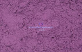 氧化钨的光催化反应机理是什么？