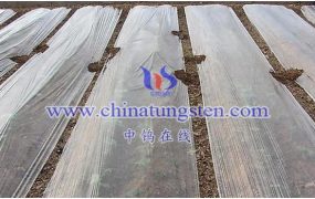 什么是地膜紫色氧化钨？